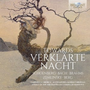 Schoenberg: Towards verklärte Nacht