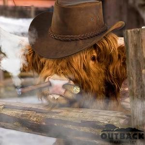 COUNTRY BULL (feat. D.L.C.K) (Explicit)