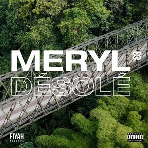 Désolé (Explicit)