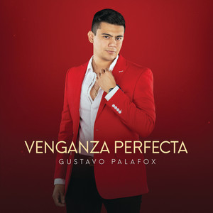 Venganza Perfecta (Versión Banda)