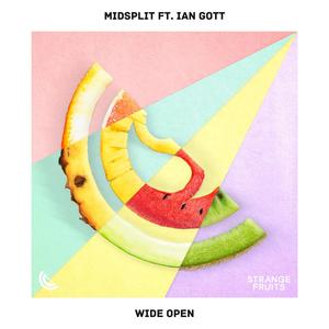 Wide Open(feat. Ian Gott)