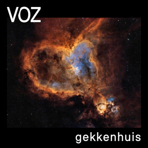 Gekkenhuis