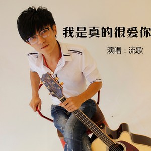 我是真的很爱你