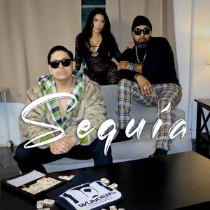 Sequía (feat. Caliman) (Explicit)