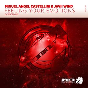 Feeling Your Emotions (Extended Mix)