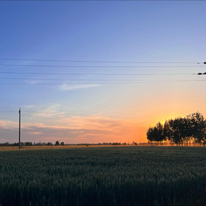 我管不住我自己