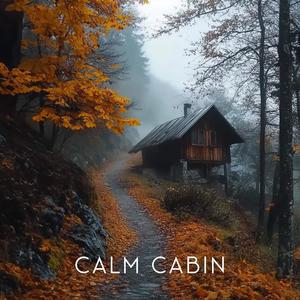 Calm Cabin Vibes