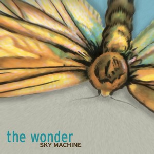 The Wonder