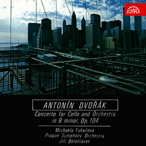 Concerto No. 2 in B Minor, Op. 104, B. 191: I. Allegro