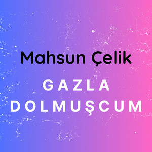 Gazla Dolmuşcum