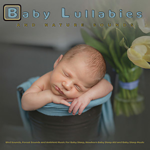 Baby Lullabies: Baby Lullaby Music and Nature Sounds, Bird Sounds, Forest Sounds and Ambient Music For Baby Sleep, Newborn Baby Sleep Aid and Baby Sleep Music