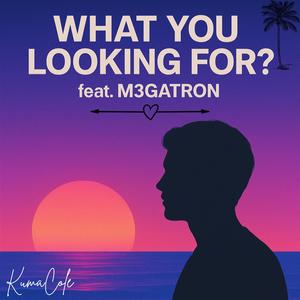 What Are You Looking For (feat. m3gatron) (Instrumental)