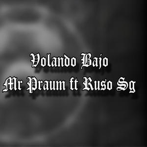 Volando bajo (feat. RussoSG) [Explicit]