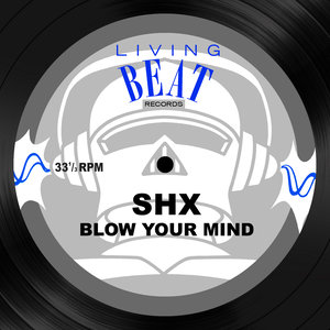 Blow Your Mind (Original 12")