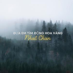 ĐƯA EM TÌM ĐỘNG HOA VÀNG