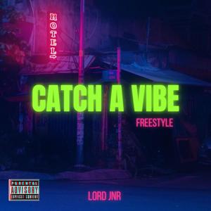 Catch a vibe(freestyle) (Explicit)