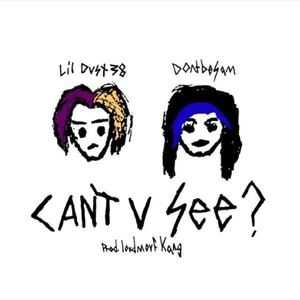 Can't U See? (feat. Dontbesam) (Explicit)