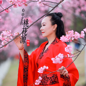心中若有桃花源封面
