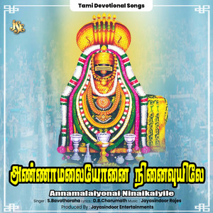 Annamalaiyonai Ninaikaiyile