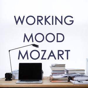 Working Mood Mozart Qq音乐 千万正版音乐海量无损曲库新歌热歌天天畅听的高品质音乐平台