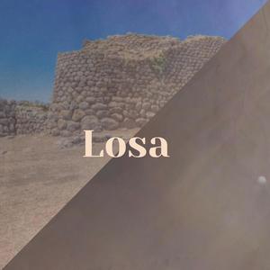 Losa