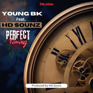 Perfect timing (feat. HD Sounz)