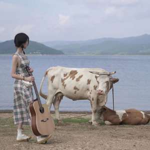 秋天是倒放的春天