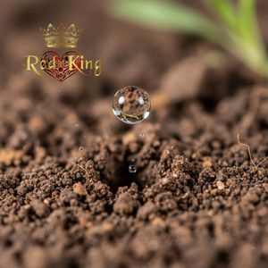 El Reloj Marca el Tiempo y la Vida del Ser