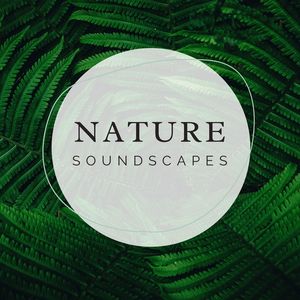 Nature Soundscapes: Soundscapes with Relaxing Music and Nature Sounds, Mother Nature Soundscapes