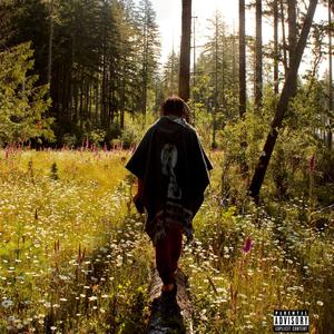 Mirrors (feat. Joey Archie) (Explicit)