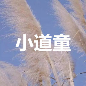 小道童 (清新版)