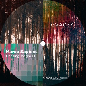Not Too Far From Here (Original Mix)