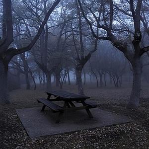 Sky Like Dreams (SU) (Explicit)