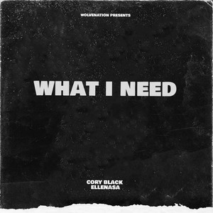 WHAT I NEED (Radio Edit) [Explicit]