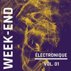 Week-End Electronique, Vol. 1 (Explicit)