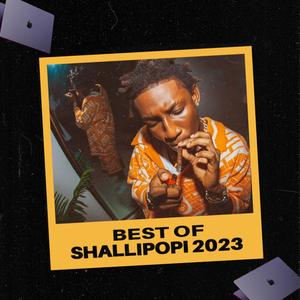 Best Of Shallipopi 2023 (Explicit)