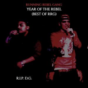 Year of the Rebel: Best of RRG (Explicit)