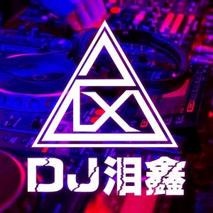 友情岁月 (DJ版)
