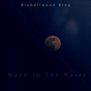 Moon In The Water