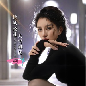 秋风经过大雪飘落 (DJ豪大大版)