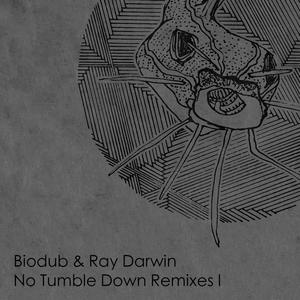 No Tumble Down(feat. Ray Darwin) (Sirius Remix)