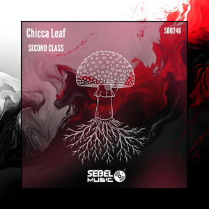 SECOND CLASS (Extended Mix)
