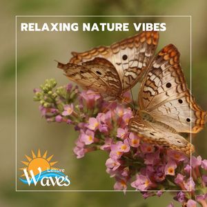 Relaxing Nature Vibes