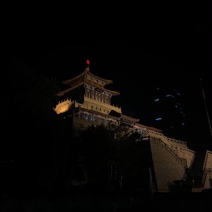 天下有情人