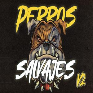 PERROS SALVAJES v2