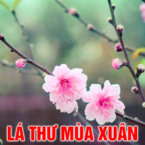 Mùa xuân có từ nơi anh