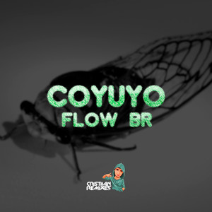 COYUYO (Flow BR)