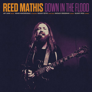 Down In The Flood (Instrumental)