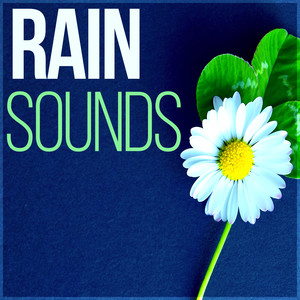 Rain Sounds - Calm Relaxing Nature Sounds, Water Sound, Massage, Tai Chi, Meditation, Sleep, Serenity Music to Reduce Anxiety and Sadness, Nature Rain, Summer Rain