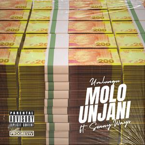 MOLO UNJANI (feat. Sonny.Ways) (Explicit)